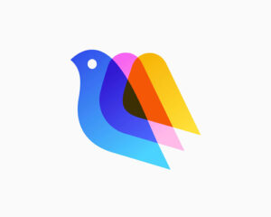 Premium Logo Design