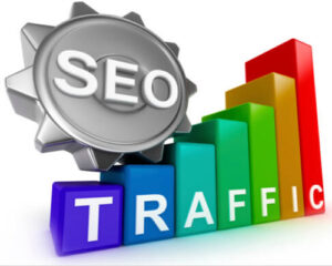 Basic Level SEO Package